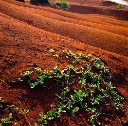 《卧龙：苍天陨落》季票开售 Steam国区售价149元