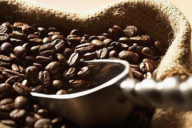 SE穿越开放世界动作游戏《魔咒之地》公开剧情预告